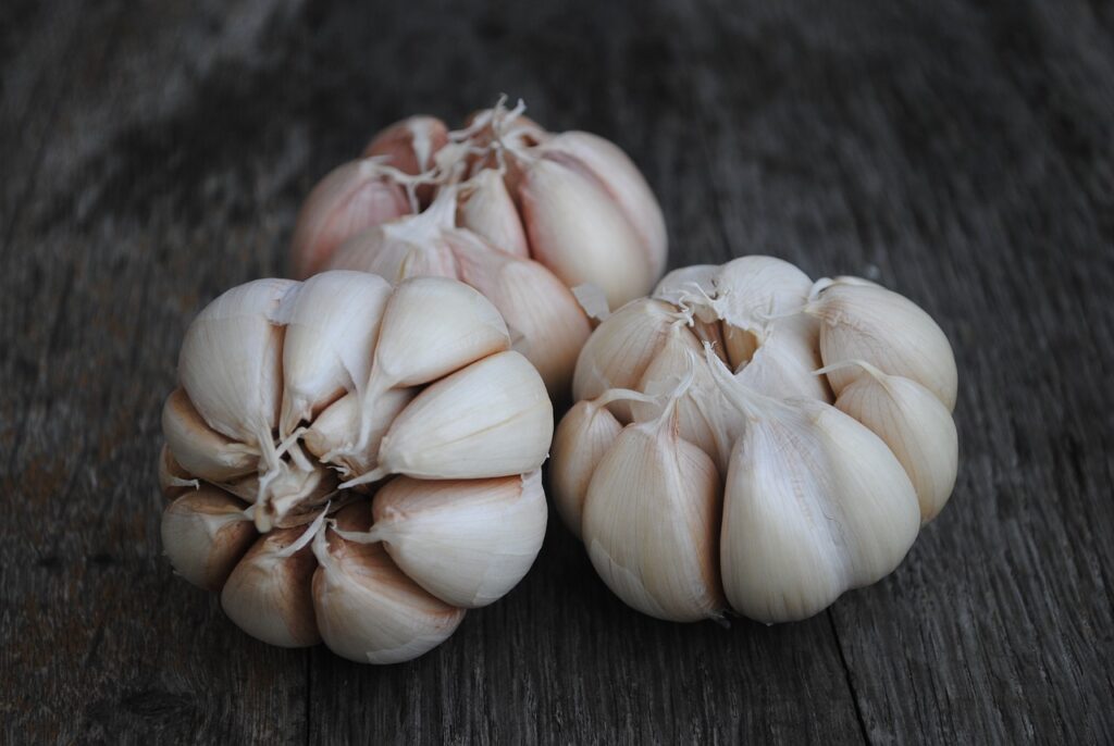 garlic promotes healing