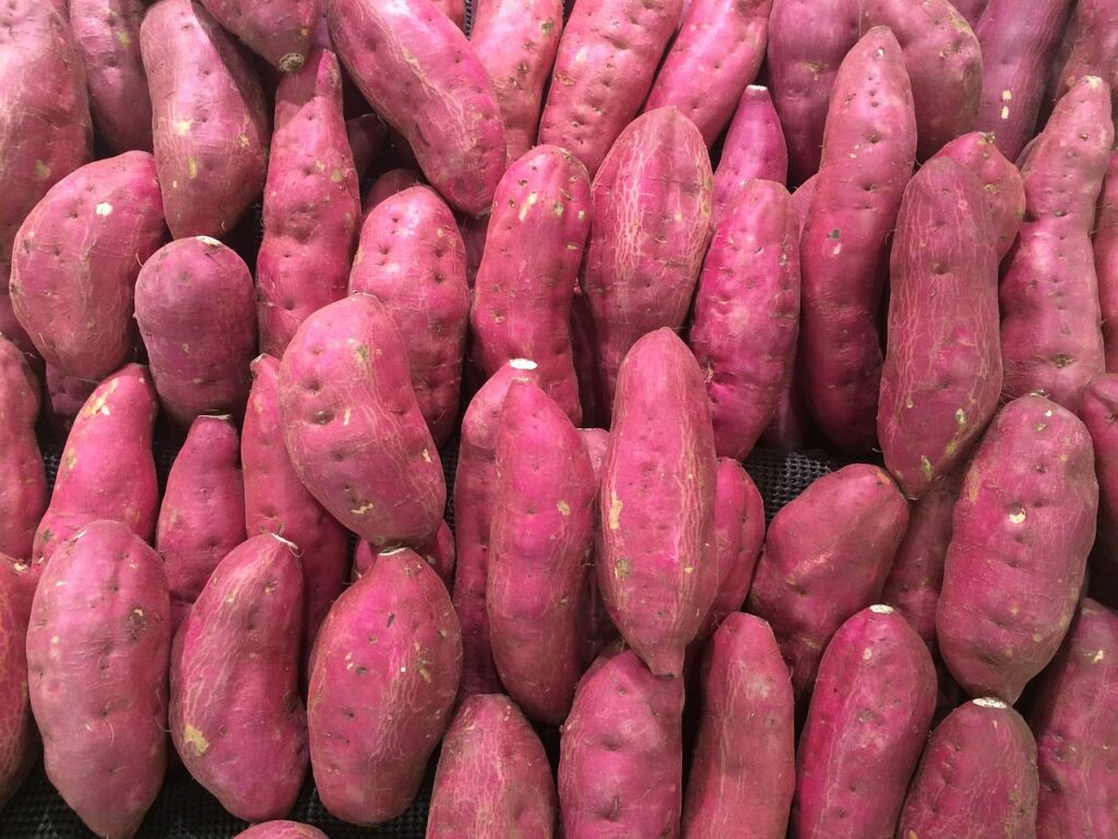 sweet potatoes are high in provitamin A